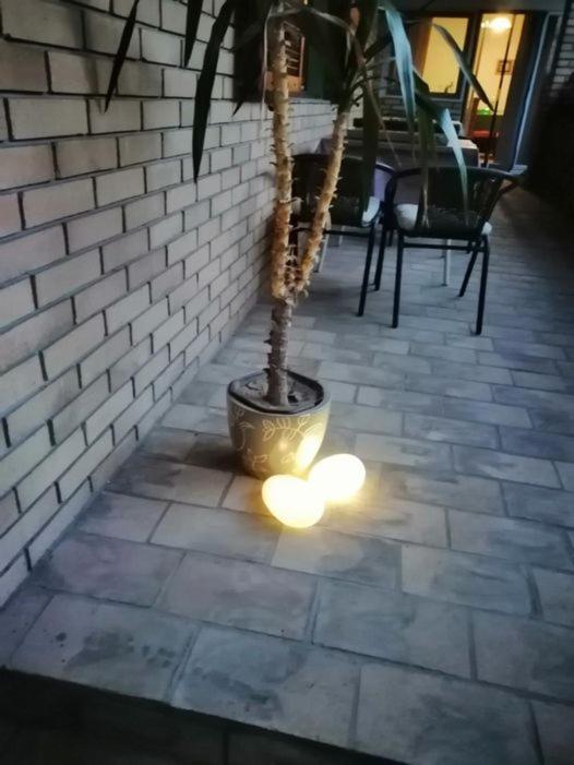 Citadela Hotel Sombor Eksteriør billede